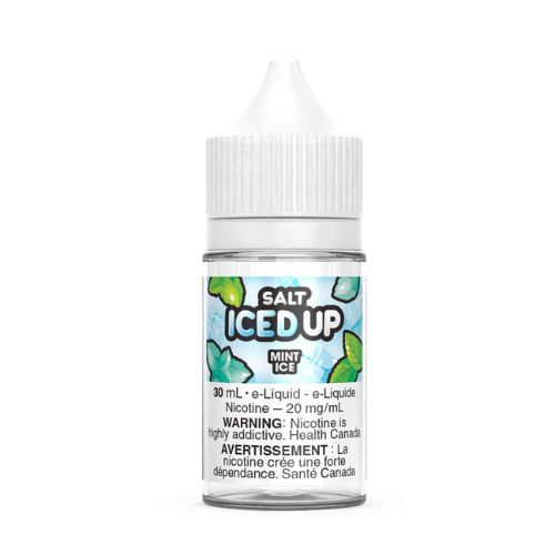 Mint Ice 12mg (30ml)